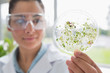Photo: Chemist holding a pane with tests of plants Chemist holding a pane with tests of plants