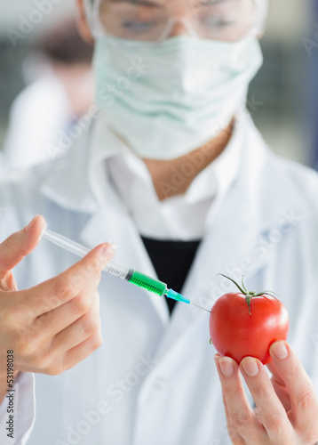 Photo: Woman injecting a tomato Woman injecting a tomato