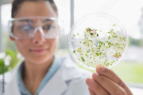 Photo: Chemist holding a pane with tests of plants Chemist holding a pane with tests of plants