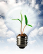 green plant growing in a bulb