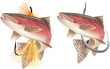 pesca alla trota