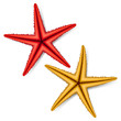 Vector: Starfish Starfish
