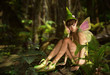 Illustration: In the Fairy Forest In the Fairy Forest