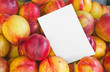 colorful nectarine fruits with blank price tag