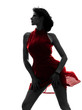 Foto: woman silhouette woman silhouette