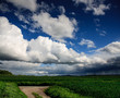 rural lansdscape
