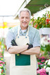 Mature gardener in a greenhouse