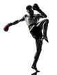 one man exercising thai boxing silhouette