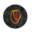 ABC Casual gold mit rotem Drachen Einzelbuchstaben
