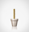 growing coins