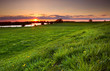 Photo: dramatic sunset over flowering meadow dramatic sunset over flowering meadow