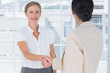 Businesswomen shaking hands in office