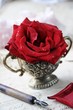 Vintage rose