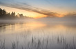 Morning light