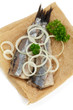 Foto: Frische Matjesfilets mit Zwiebeln Frische Matjesfilets mit Zwiebeln