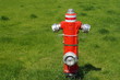 Roter Hydrant Auf Grüner Wiese