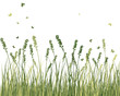 Vector: Summer meadow Summer meadow