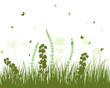 Vector: Summer meadow Summer meadow