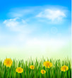 Nature background with green grass and flowers and blue sky. Vec
