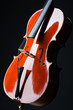 Violin on the black background