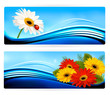 Vetor: Nature banners with color flowers. Vector. Nature banners with color flowers. Vector.