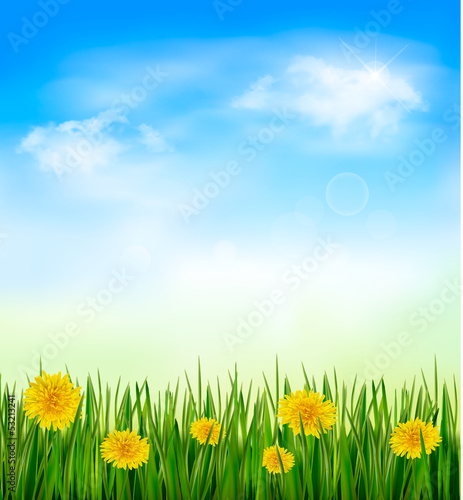 Vector: Nature background with green grass and flowers and blue sky. Vec Nature background with green grass and flowers and blue sky. Vec