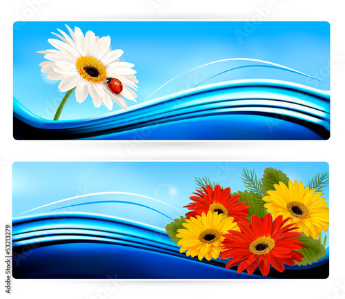 Vector: Nature banners with color flowers. Vector. Nature banners with color flowers. Vector.