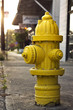 A Yellow Fire Hydrant On The C...