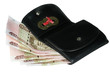 Purse with money