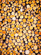 firewood