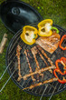 Grilled food prepared in garden
