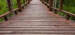 Wooden footpath