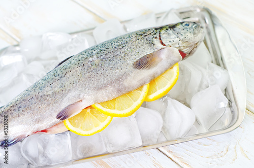 Photo: raw trout raw trout