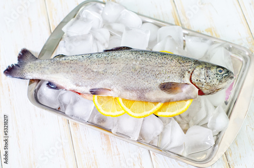 Photo: raw trout raw trout
