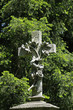 toter friedhof 47