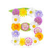 Blumenbuchstabe B