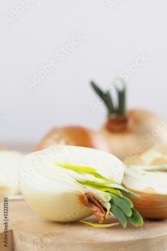 Photo: Onions on cutting board Onions on cutting board