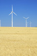 wind energy