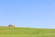 Mongolian landscape