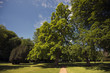 Part of park