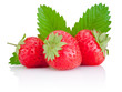 Photo: Three ripe red strawberries and a leaf isolated on white backgro Three ripe red strawberries and a leaf isolated on white backgro