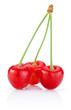 Photo: Three Cherry with stem isolated on white background Three Cherry with stem isolated on white background