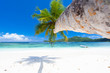 plage tropicale des Seychelles