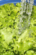 grüner Salat, abwaschen