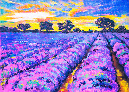Illustration: Beautiful lavender field at sunset. Beautiful lavender field at sunset.