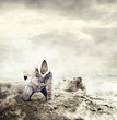 Photo: Help!!! Help!!!