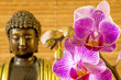 Buddha mit Orchidee