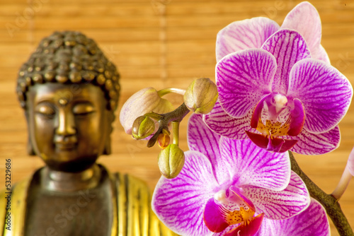 Photo: Buddha mit Orchidee Buddha mit Orchidee