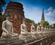 Row of buddha statues in Ayutthaya province of Thailand