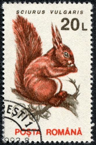 Photo: stamp printed in the Romania, shows the Eurasian red squirrel stamp printed in the Romania, shows the Eurasian red squirrel